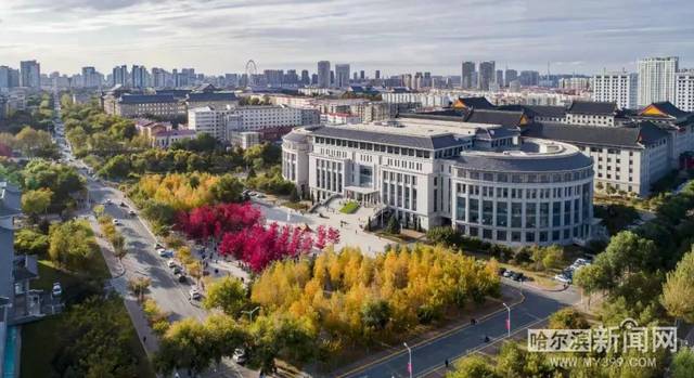 依然爱丽丝 推荐视频