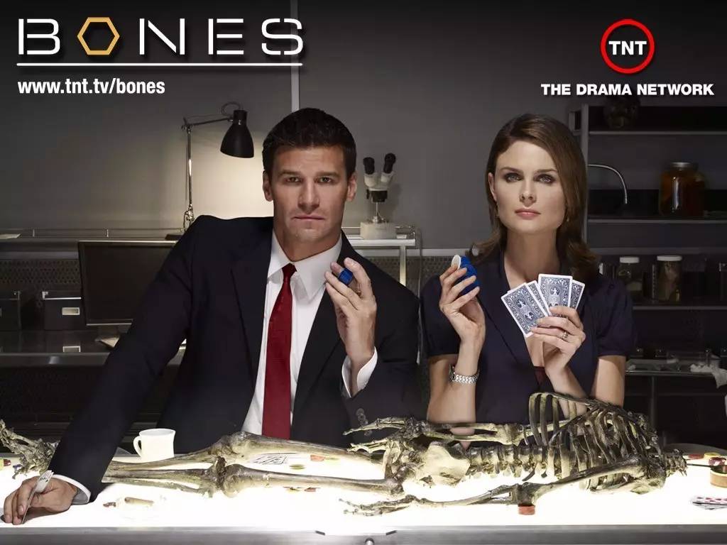 夜幕降临2022 推荐视频