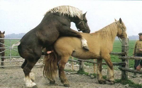 傻傻爱你，傻傻爱我 产品图片