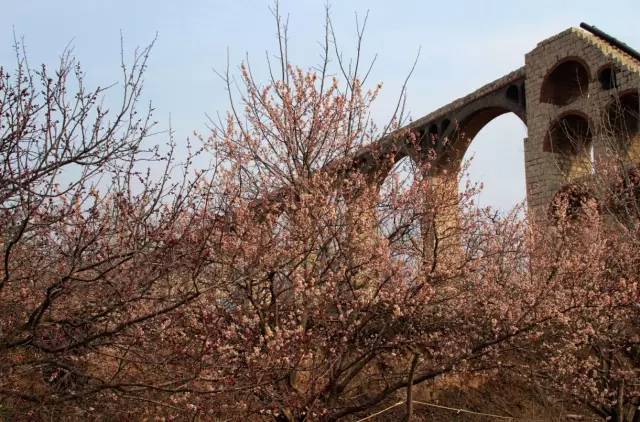 会计刺客2 推荐视频