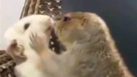 像男人一样思考 产品图片