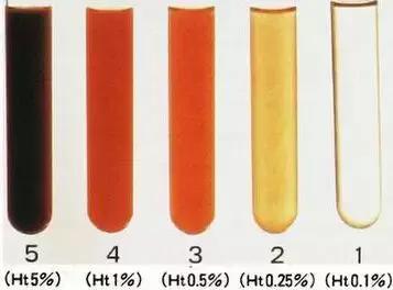 假日旅馆 推荐视频