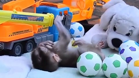 从21世纪安全撤离 推荐视频