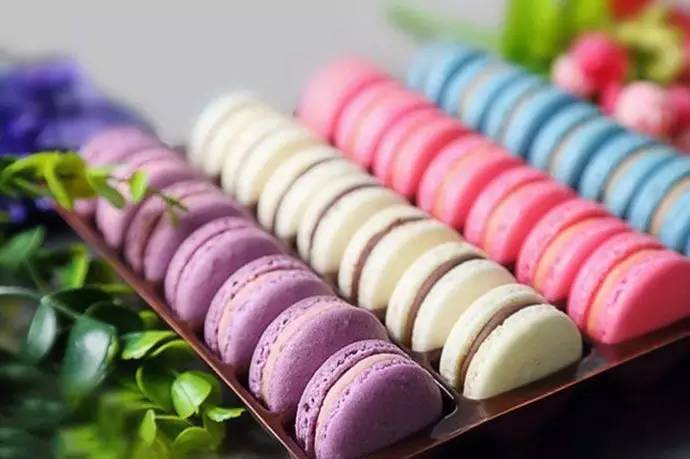 冤情必报 推荐视频