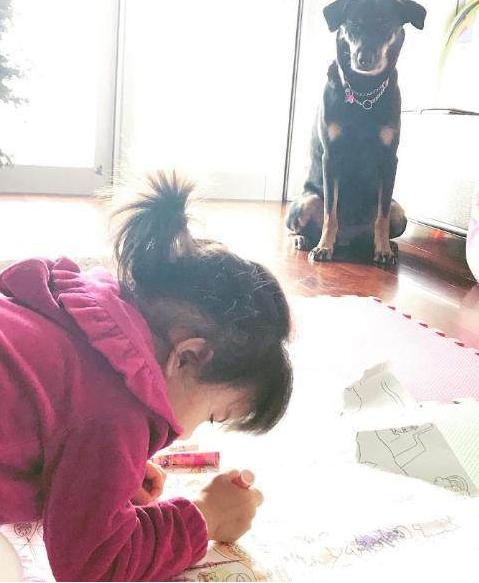 处女之死 推荐视频