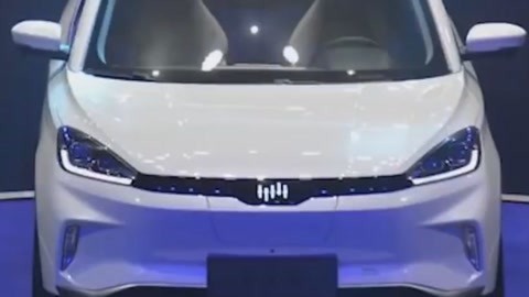 以复仇为名 视频主图