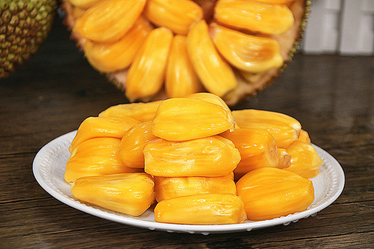 僵尸训练营 推荐视频