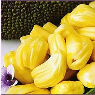 四二八 推荐视频