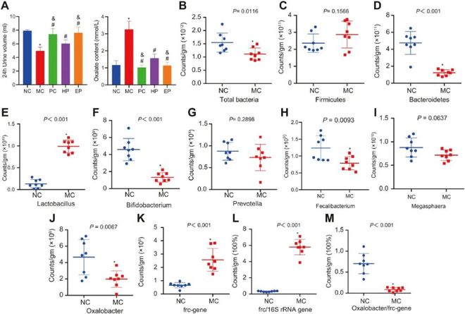 吾栖之肤 推荐视频