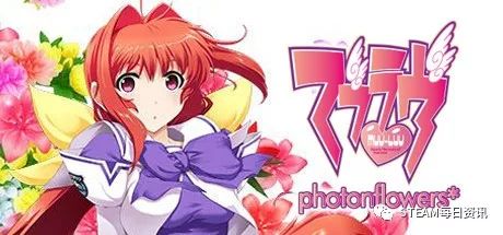 伸冤人3 推荐视频