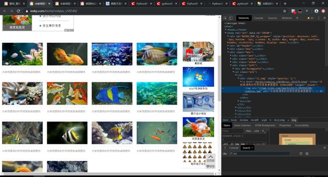 儿娃子 视频主图