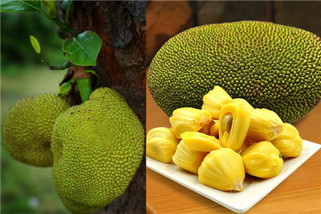 你看起来好像很好吃 视频主图