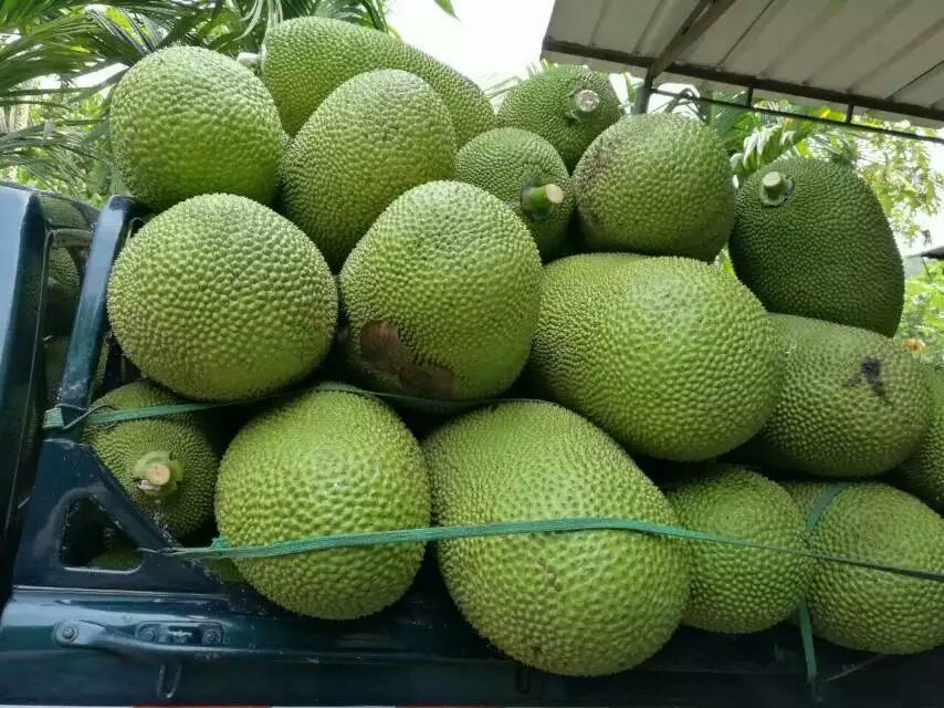 侠盗魅影 推荐视频