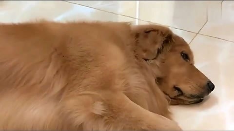 僵局救援 推荐视频