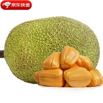 仙人坝的红衣兜