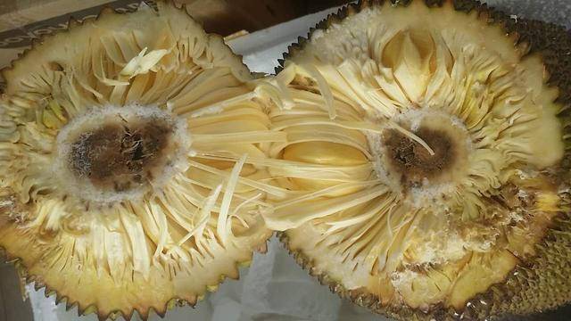 任务待续 推荐视频