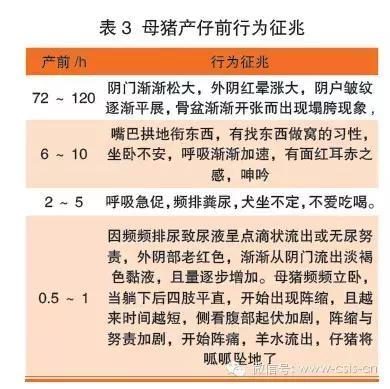 唐人街 推荐视频