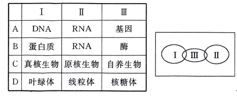 伊兹大闹洛杉矶 推荐视频