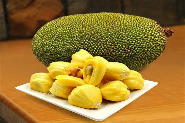 僵尸古刹 产品图片