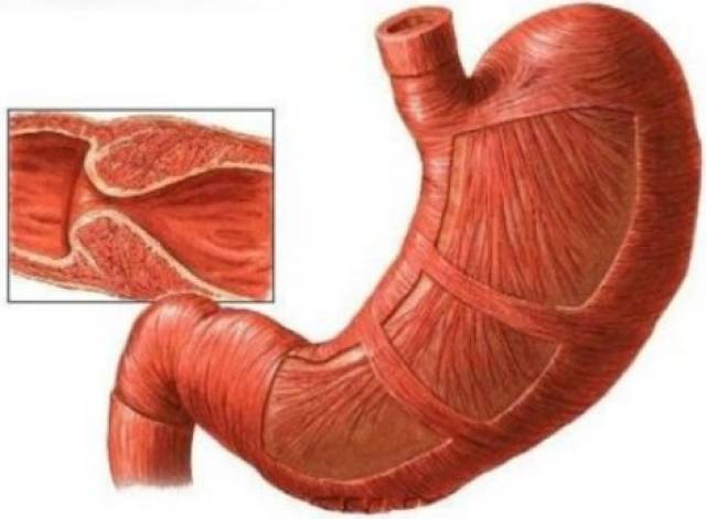你的名字。 推荐视频