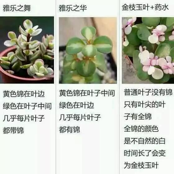 去处不遥远 推荐视频