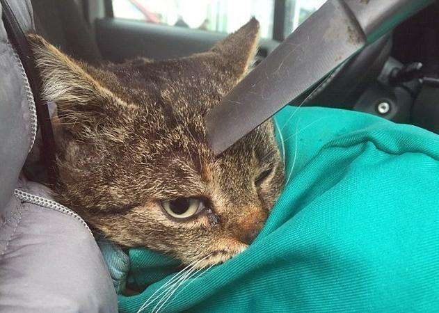 优步危机 推荐视频