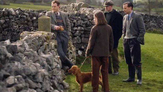 再见，残酷的世界 推荐视频