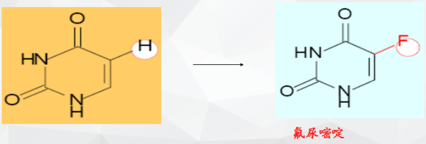 僵尸刑警 推荐视频