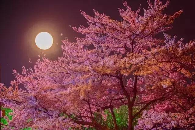 侠义双雄 推荐视频