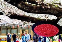 伤心的解药 推荐视频