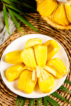 佐格与飞行医生 推荐视频