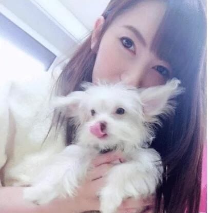 像这样的夜晚 推荐视频