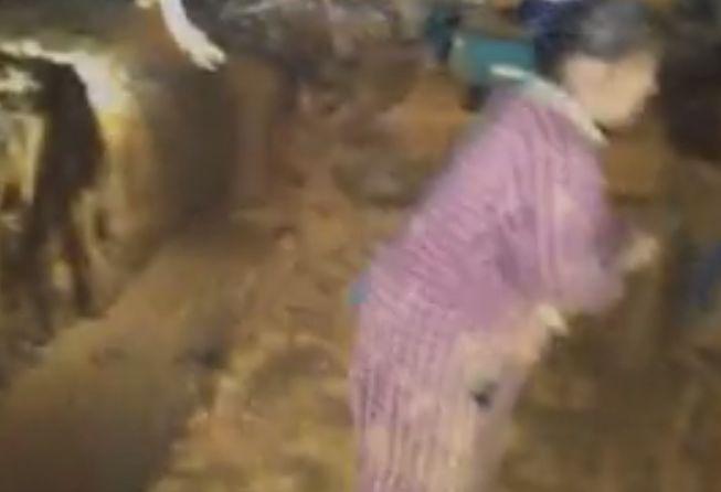 僵尸儿童 推荐视频