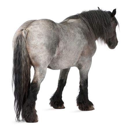 侬本痴情 推荐视频