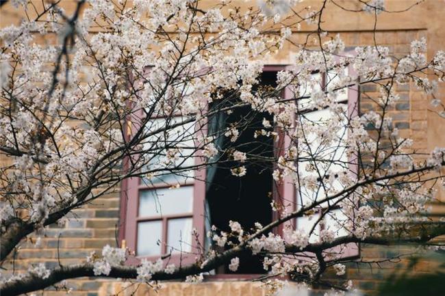 伦敦陷落（原声版） 产品图片