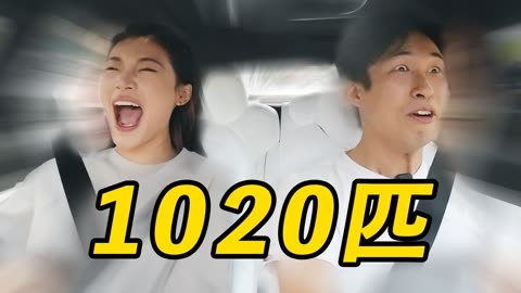 但丁之手 产品图片