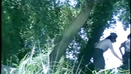 像这样的夜晚 推荐视频