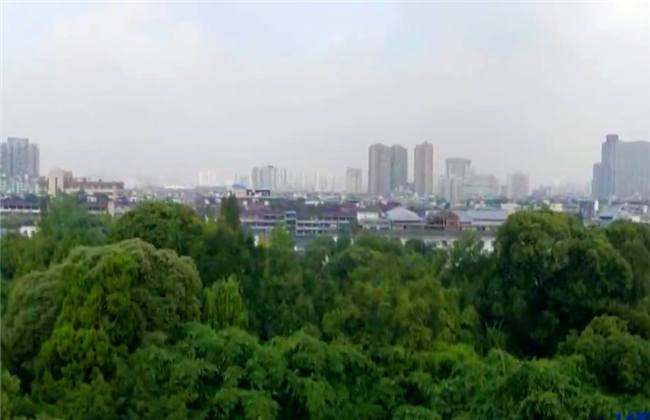 什么，我是机器人