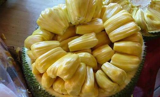 侏儒与财神 推荐视频