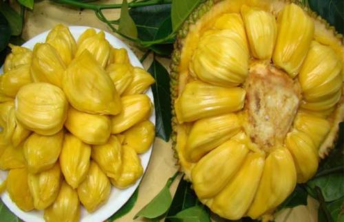 双重身份 产品图片