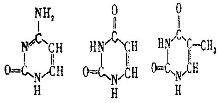 伪梦迷情 推荐视频