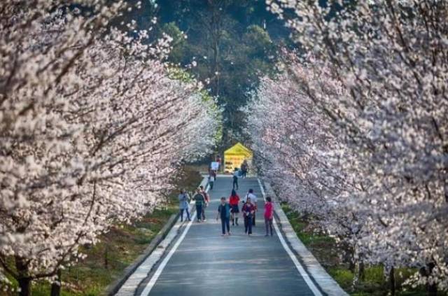 哦！文姬 推荐视频