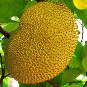 今夜，就算这份爱恋从世界上消失 推荐视频