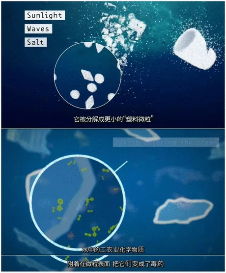 你有素质吗 推荐视频