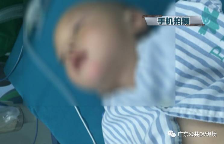 仙班校园2 推荐视频