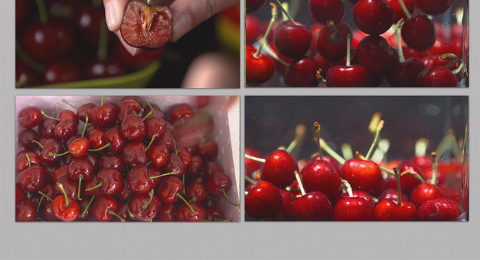 唐卡迷踪 推荐视频