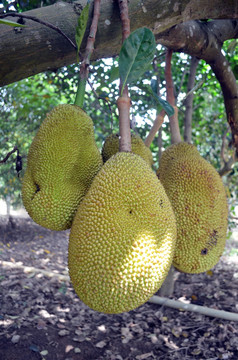 名世恋人 推荐视频