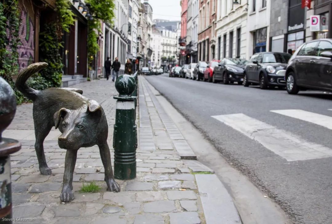 亚瑟王：斗兽争霸 视频主图