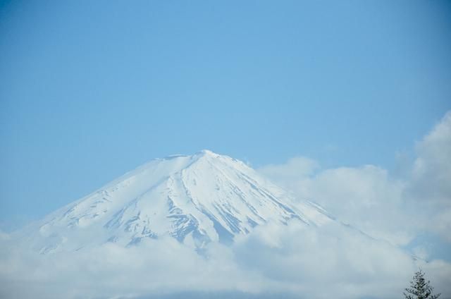 冰封之地 产品图片