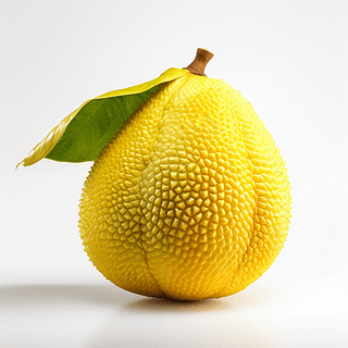 今天我当上太后了吗